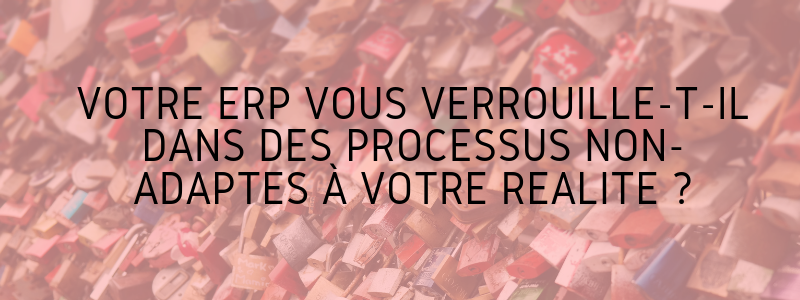 Votre ERP vous verrouille-t-il dans des processus non-adaptés à votre réalité ?
