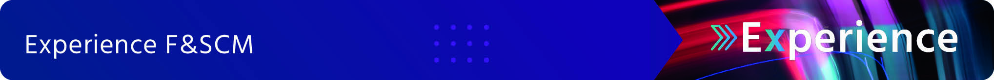 experiencefscm_header_en experiencefscm_header_en